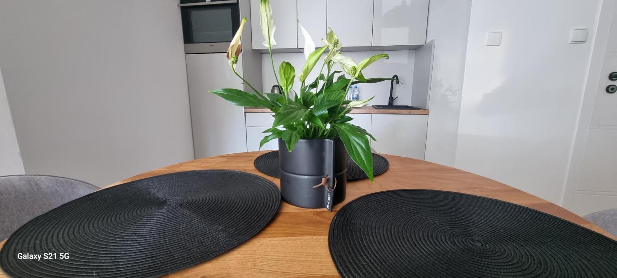 Apartament Moje Dabrowno Luaran gambar